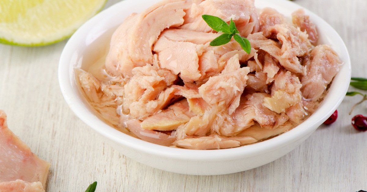 Reason to Have Canned Tuna in Oil 3000g Product Tuna Skipjack Frozen