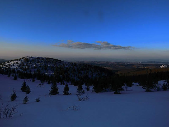 Równień Królowa.