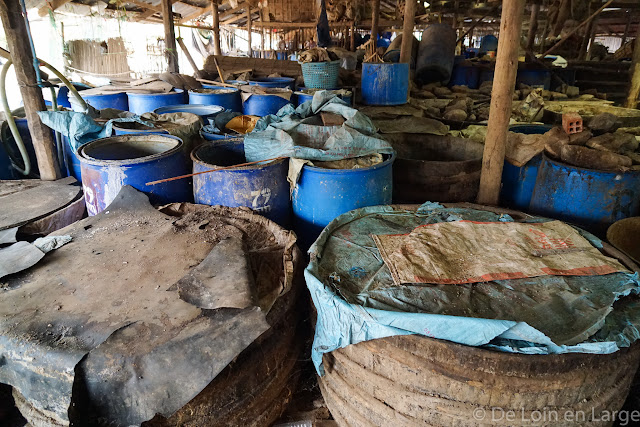 Campagne de Battambang - Cambodge