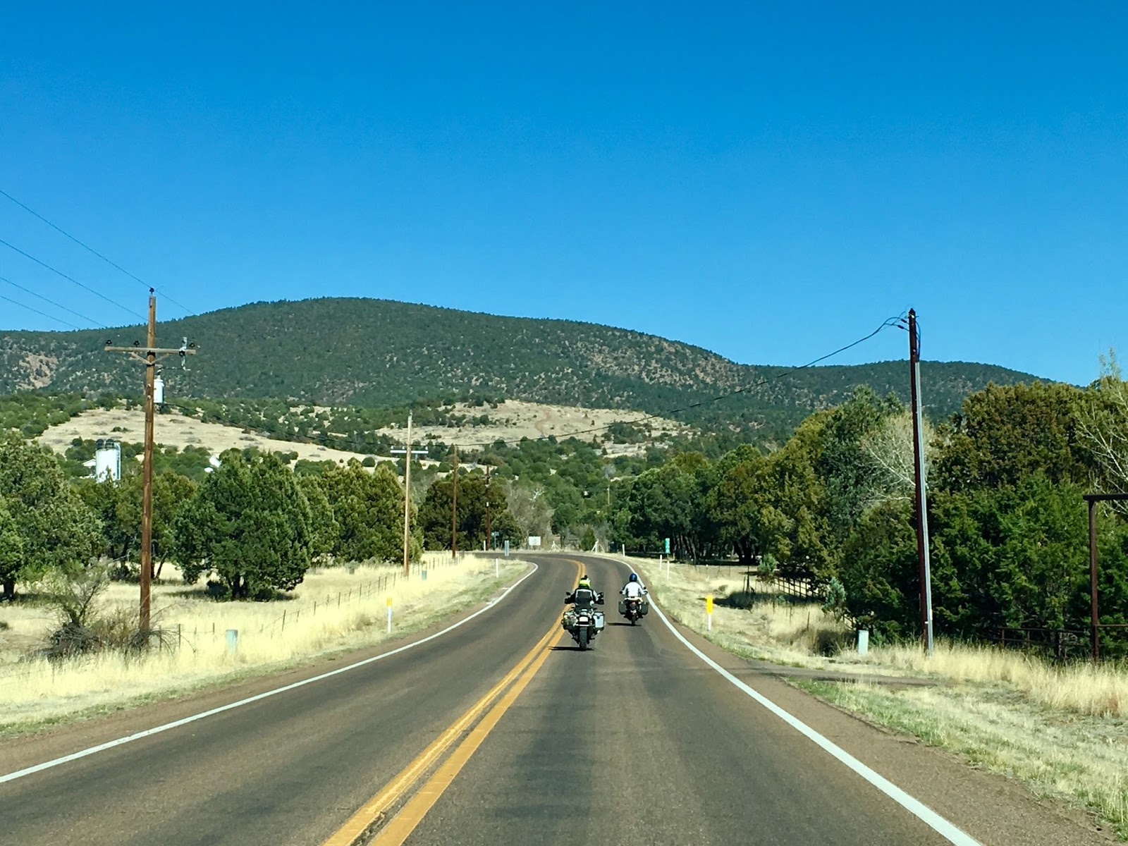 The Daily Rant Heading To The Tall Pines