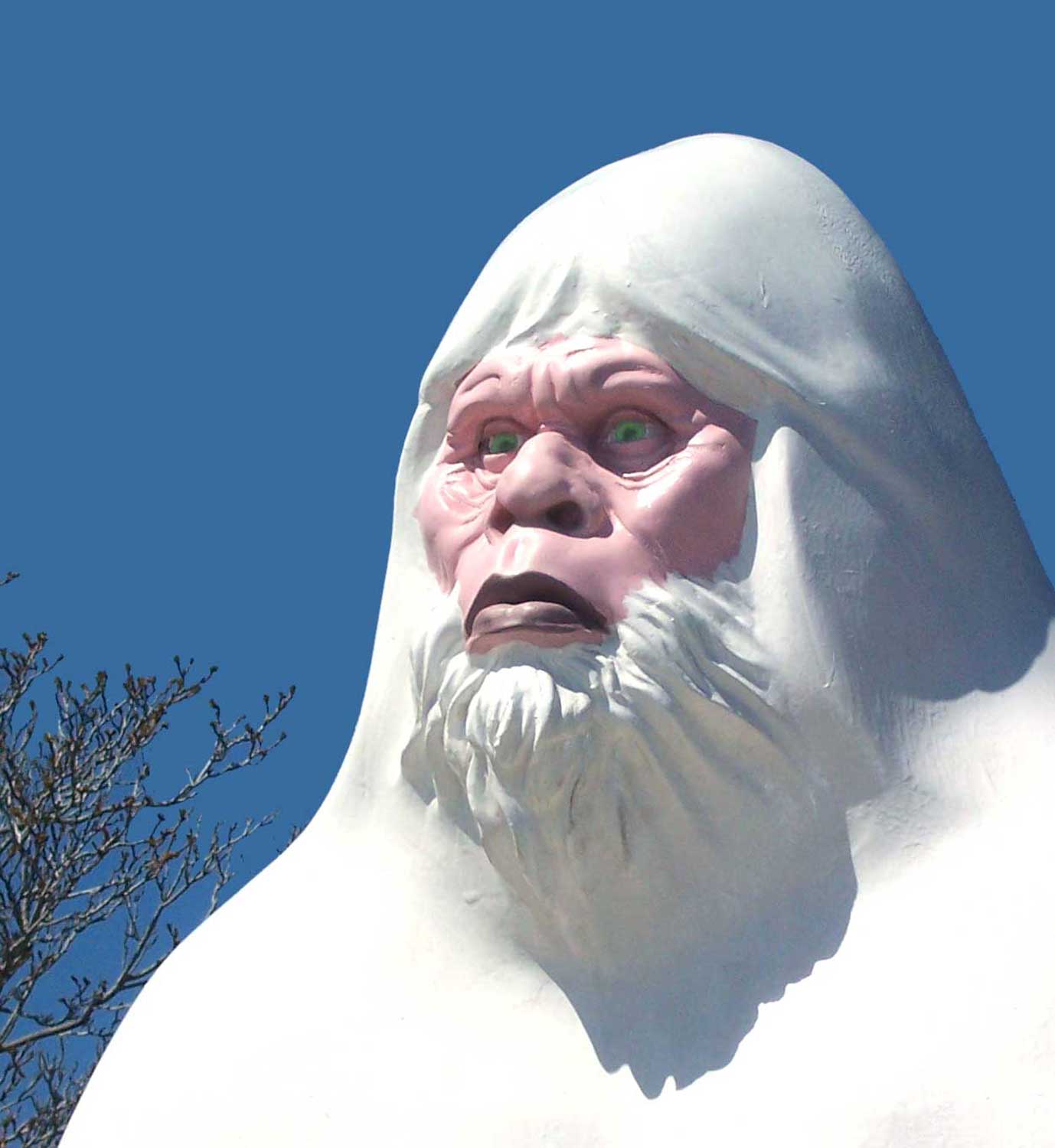 Daily Protein Science Do yetis exist after all?