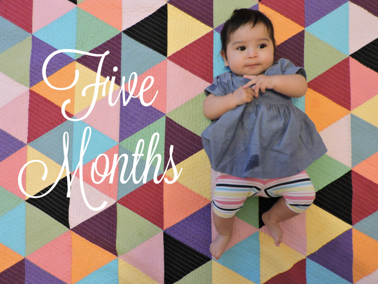 Five Month Update | Little Love