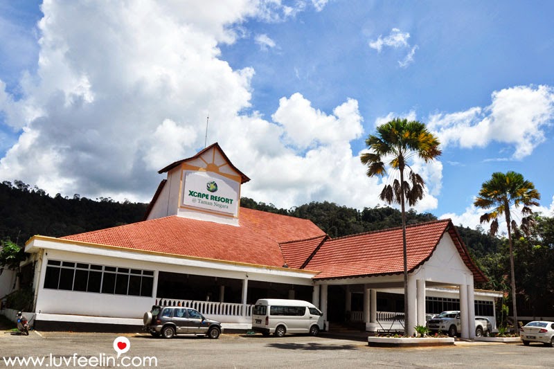 Xcape Resort @ Taman Negara 爱玩客国家公园度假村（一）：Canopy Walk 雨林吊桥＋Orang Asli