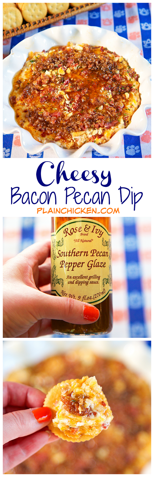 Cheesy Bacon and Pecan Dip {Football Friday} Plain Chicken®