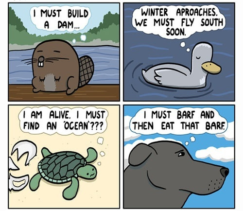 My Life As A Zombie: Animal Instinct