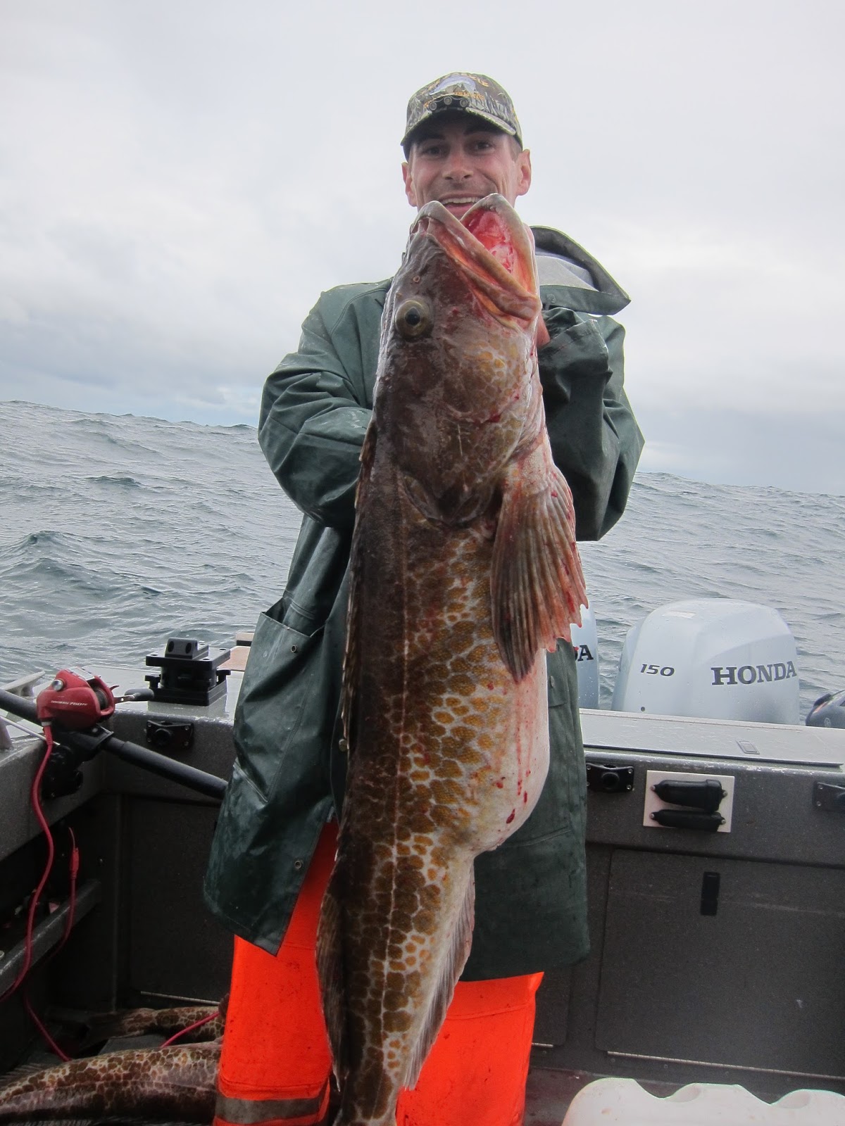 Todds Extreme Fishing Neah Bay halibut, Lingcod, and bottom fish