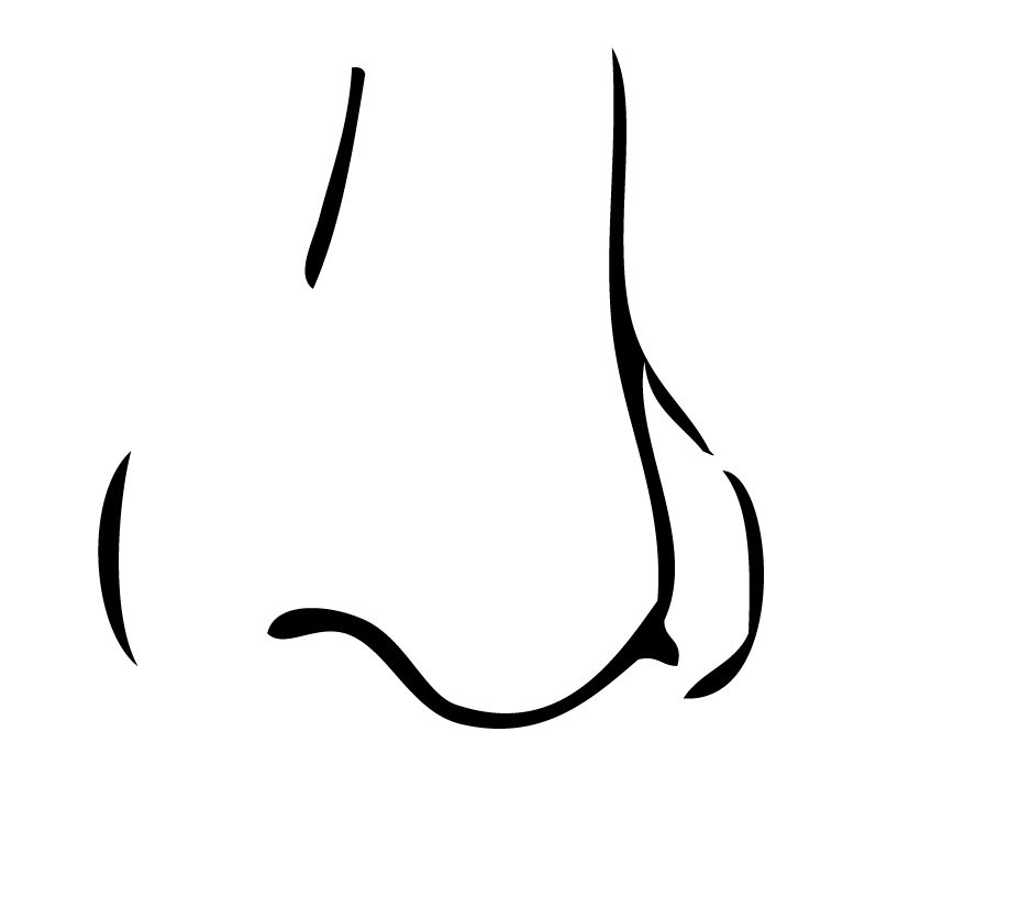 clipart pictures of nose - photo #14