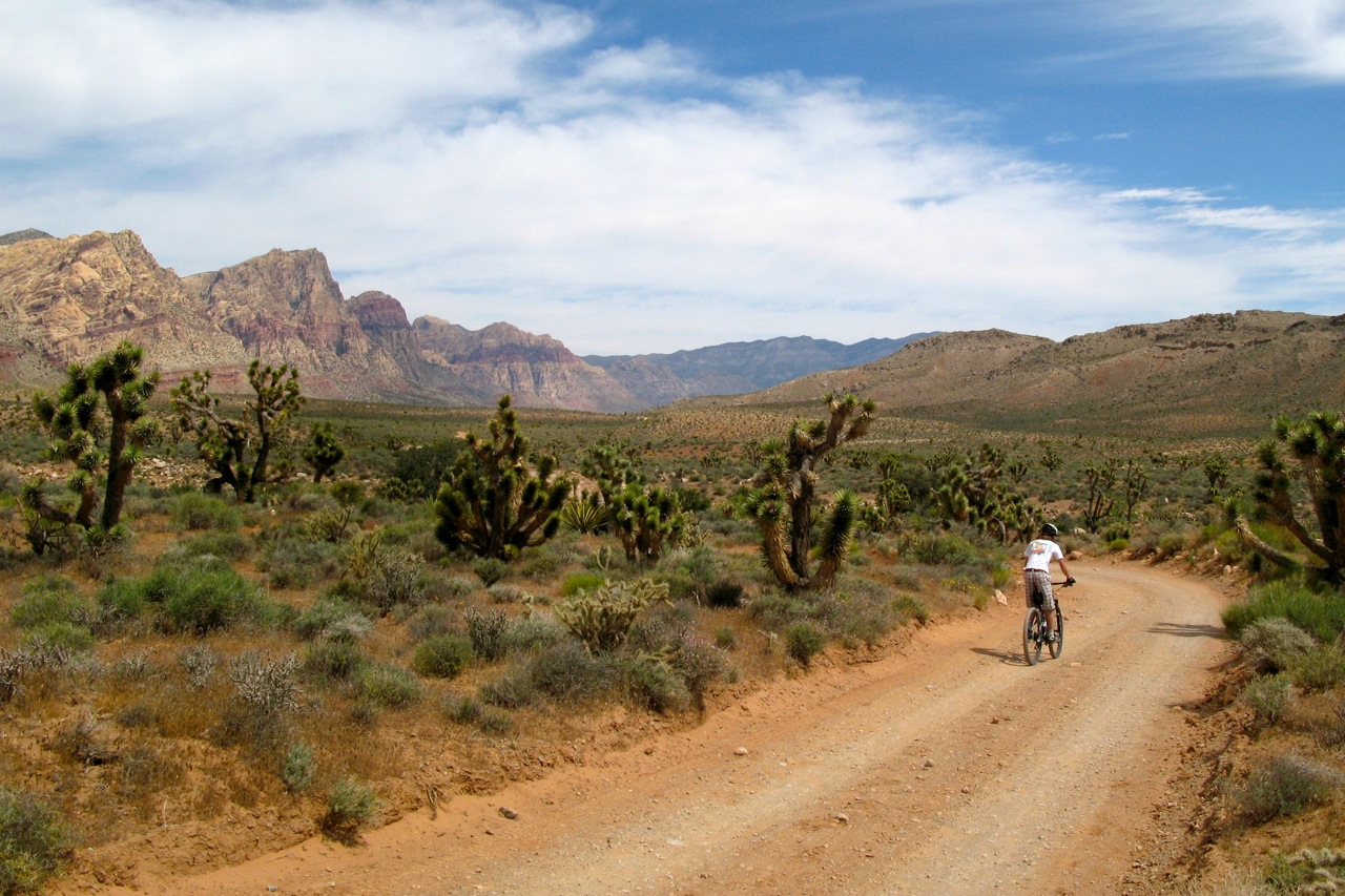 peterama Blue Diamond, NV