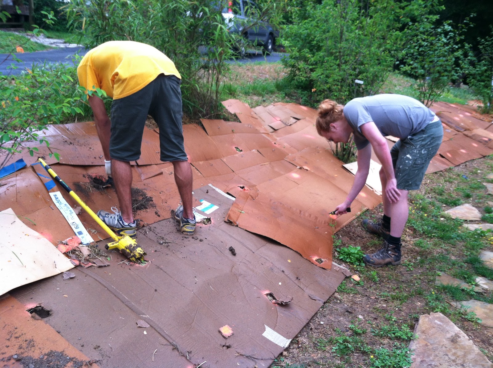 native plants | A New Norris House