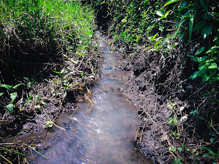 Irrigation Water Channel In The Rice Field At The Village, Ringdikit, North Bali, Indonesia