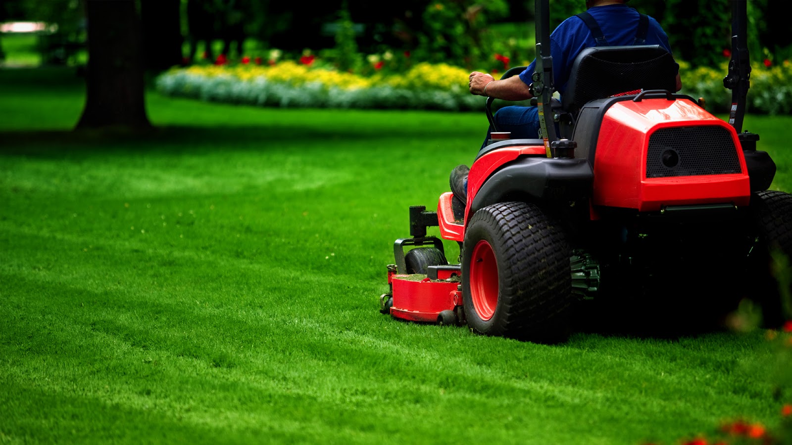 lawn care tips for winter 2017 yard landscape design lawn and yard maintenance