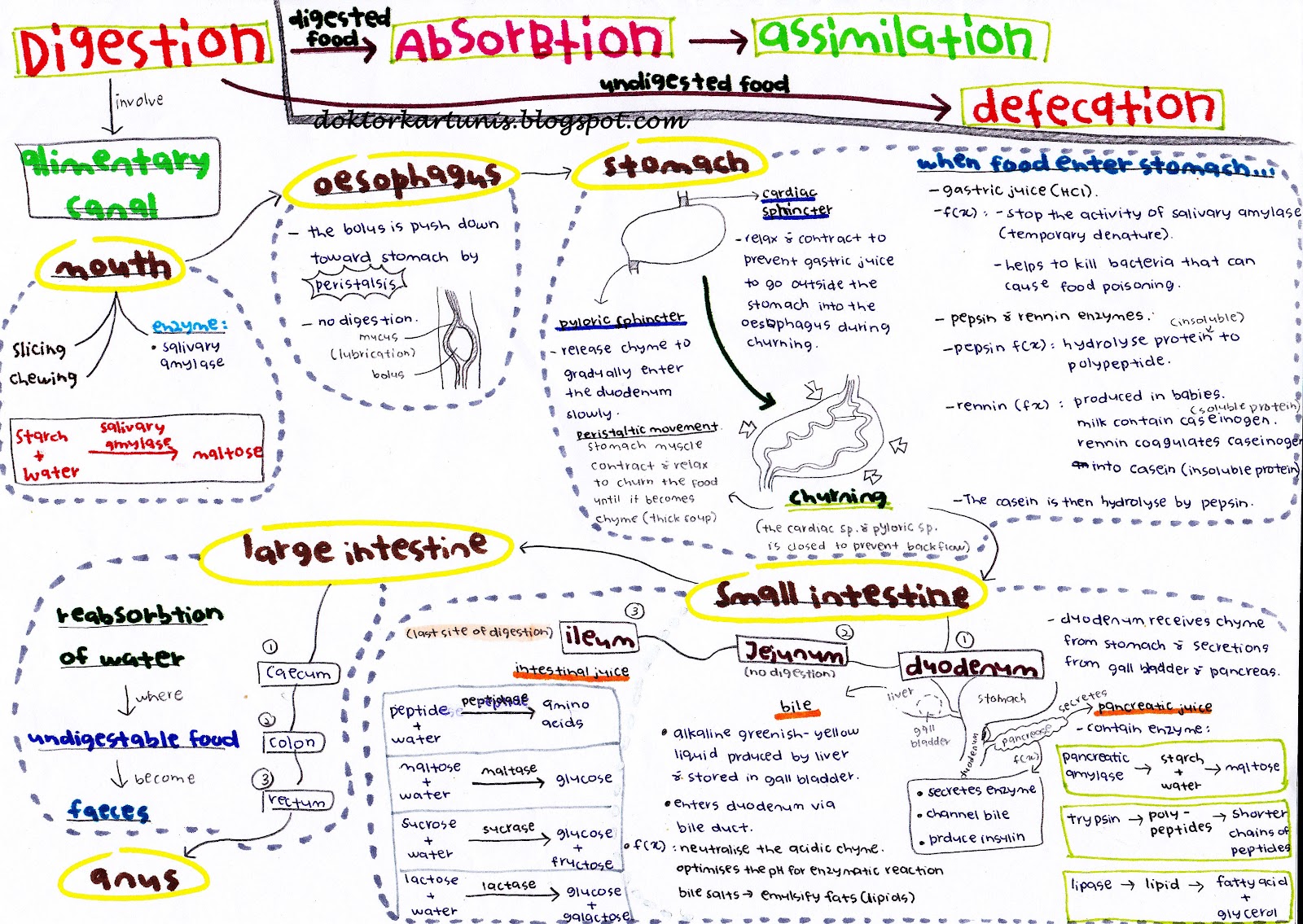 Koleksi Nota SPM Biology SPM Notes (in English)