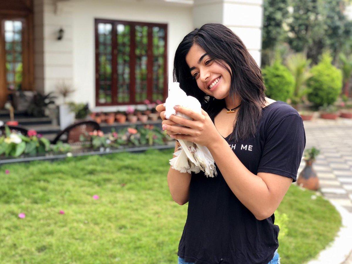 Indian Girl Rashmika Mandanna Playing With Pet Dog - Tollywood Boost