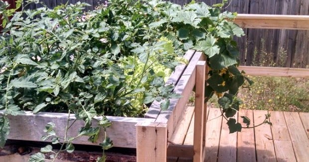 Totally Tutorials: Tutorial - How to Make a Garden Planter