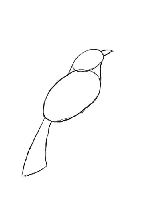 How To Draw A Bird - Draw Central