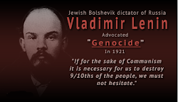 chicken coop milton fl owner 8