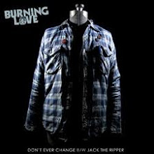 Don't Ever Change 7" (2010)