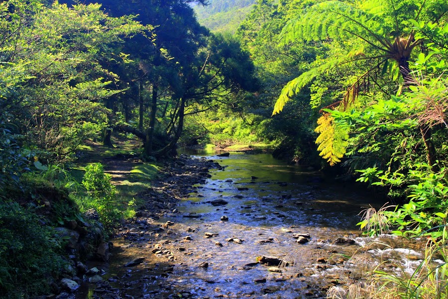 新北雙溪 烏山62號 探訪坪溪古道的最佳野營地 阿舍的精彩生活