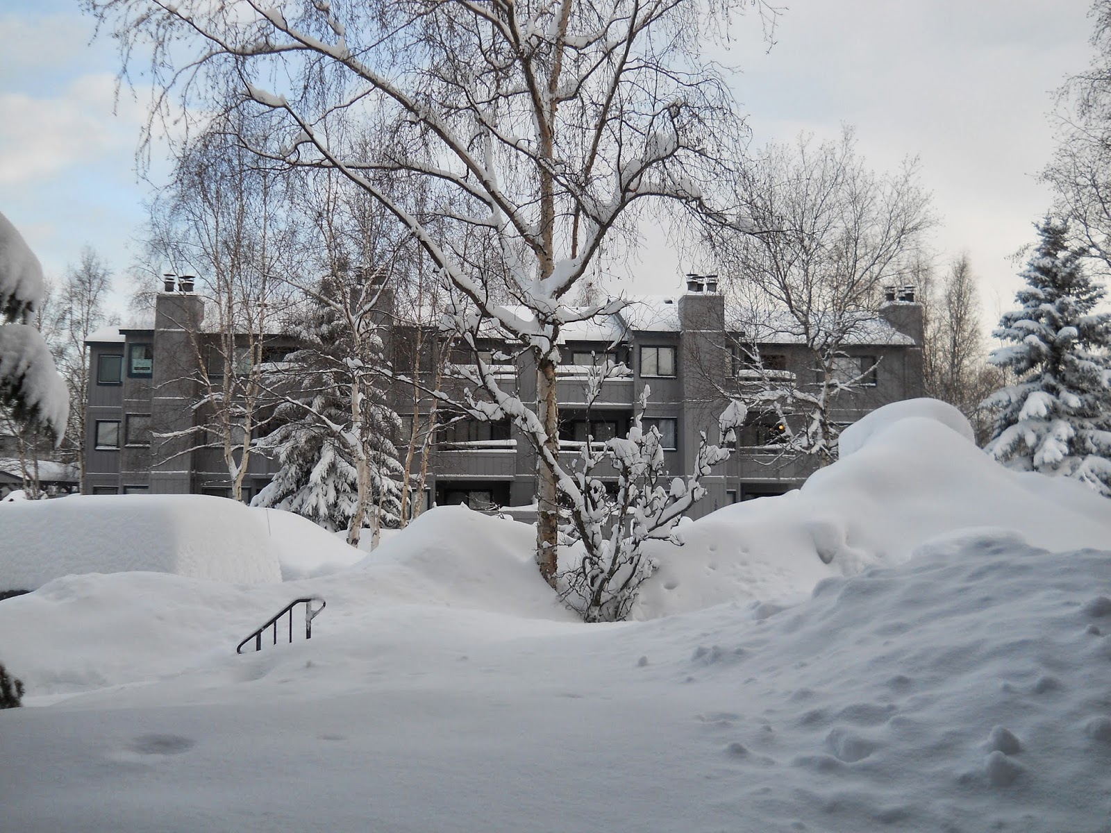 BOBBA CAPS DOXOLOGY MAR 15, 14 .. SNOW IN ALASKA? ON MARCH 15th .. YES!