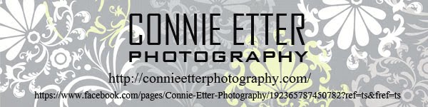 Connie Etter Photography