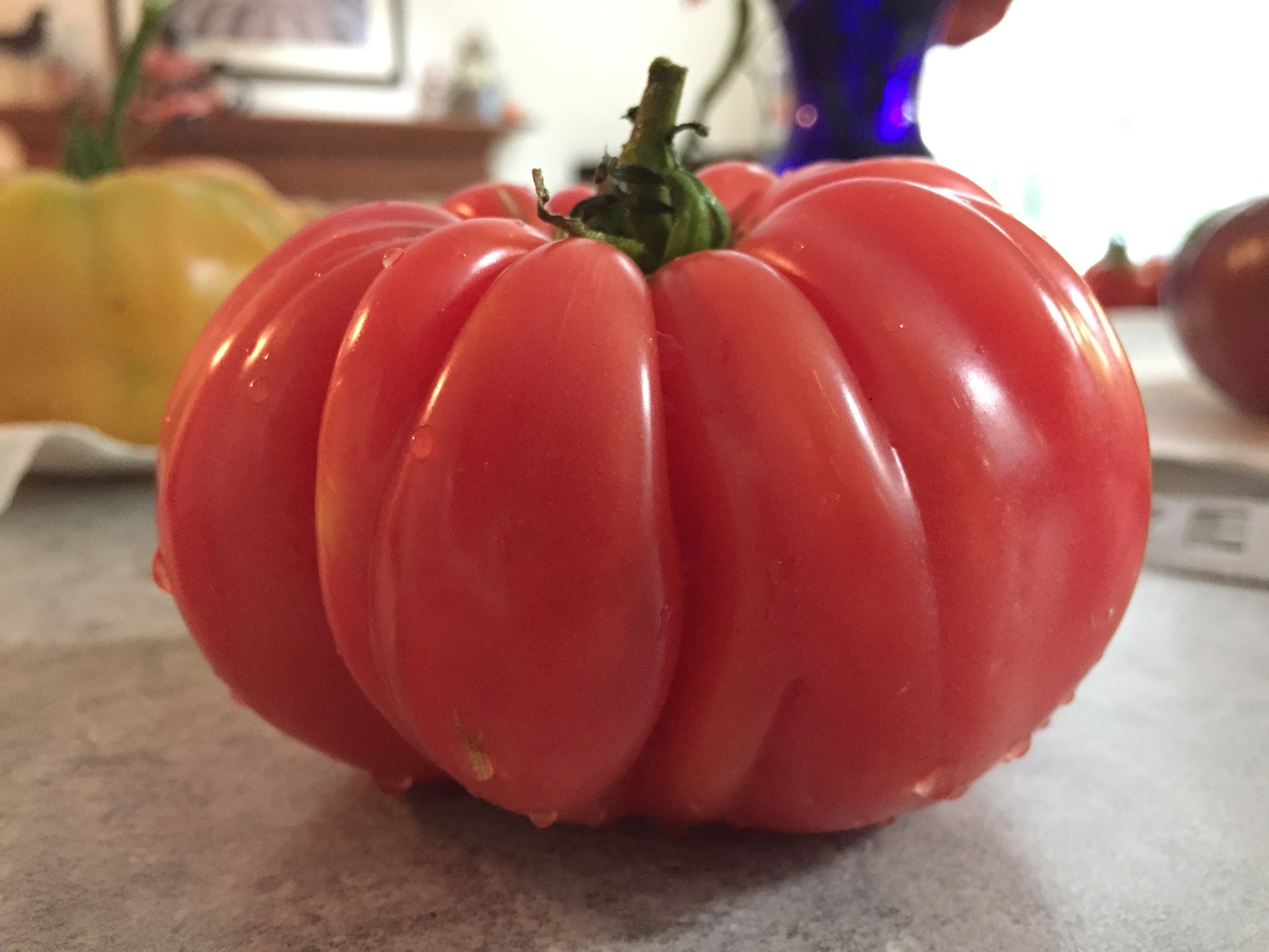 Northdixie Designs Day 2 of 31 Days of Posting Straw Bale Gardening