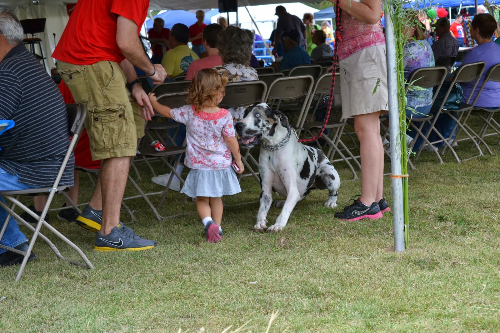 deep thoughts Ovilla Heritage Days Here We Come!
