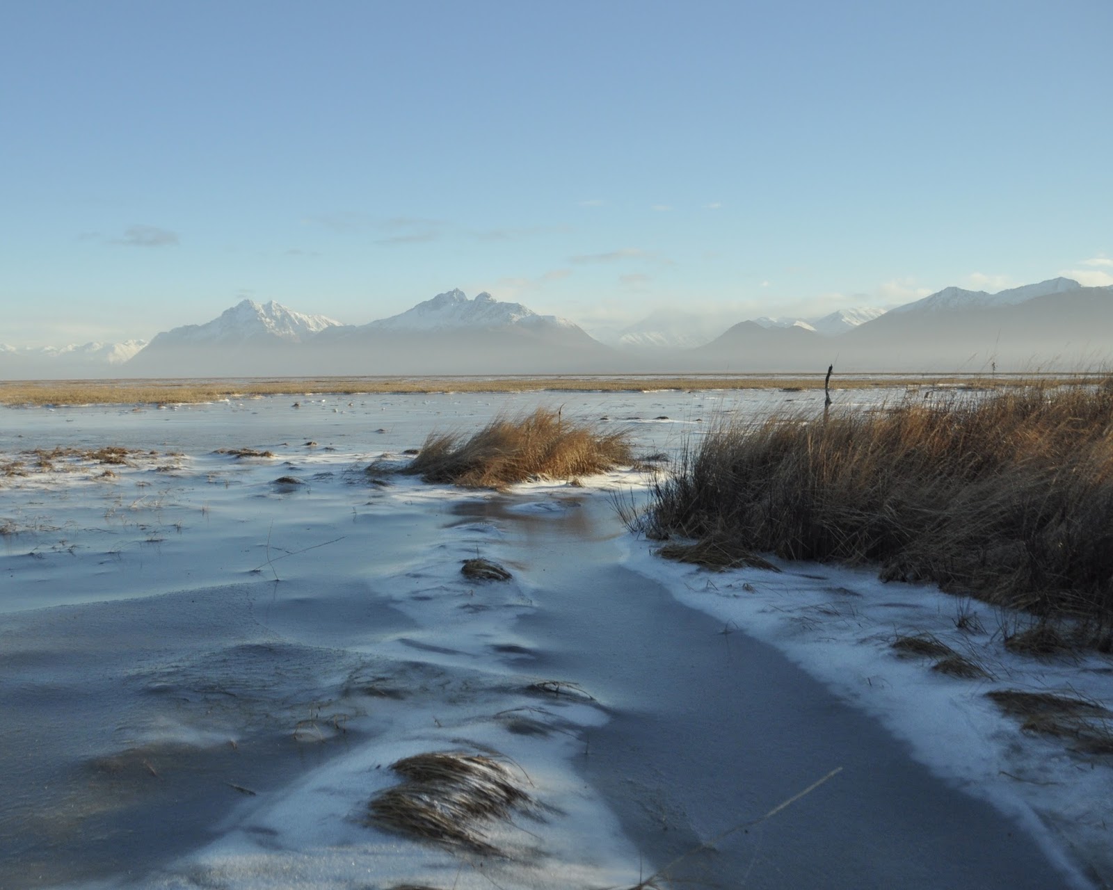 Heart Alaska Palmer Hay Flats