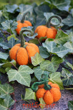 Little Pumpkins