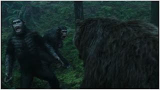 Adegan Film Dawn of The Planet of The Apes ketika Apes Cesar bertarung dengan beruang