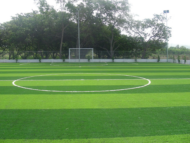 [Image: chi-phi-san-co-nhan-tao2.jpg]