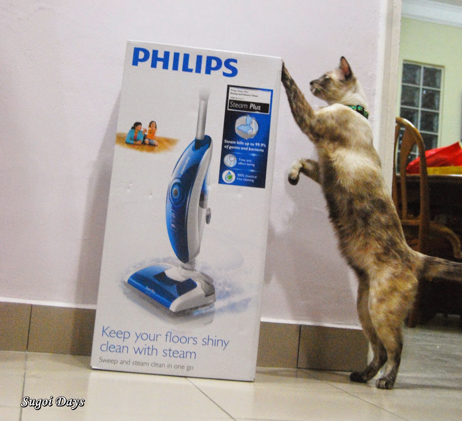 professional Expanding name Sugoi Days: Philips Steam Plus 2-in-1 Sweep and Steam Cleaner review