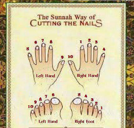 ISLAMIC QUOTATIONS: Sunnah Way of Cutting the Nails