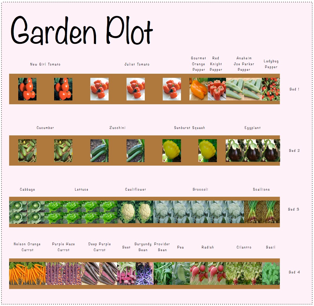 Hello, I Am Gia. Garden Plot