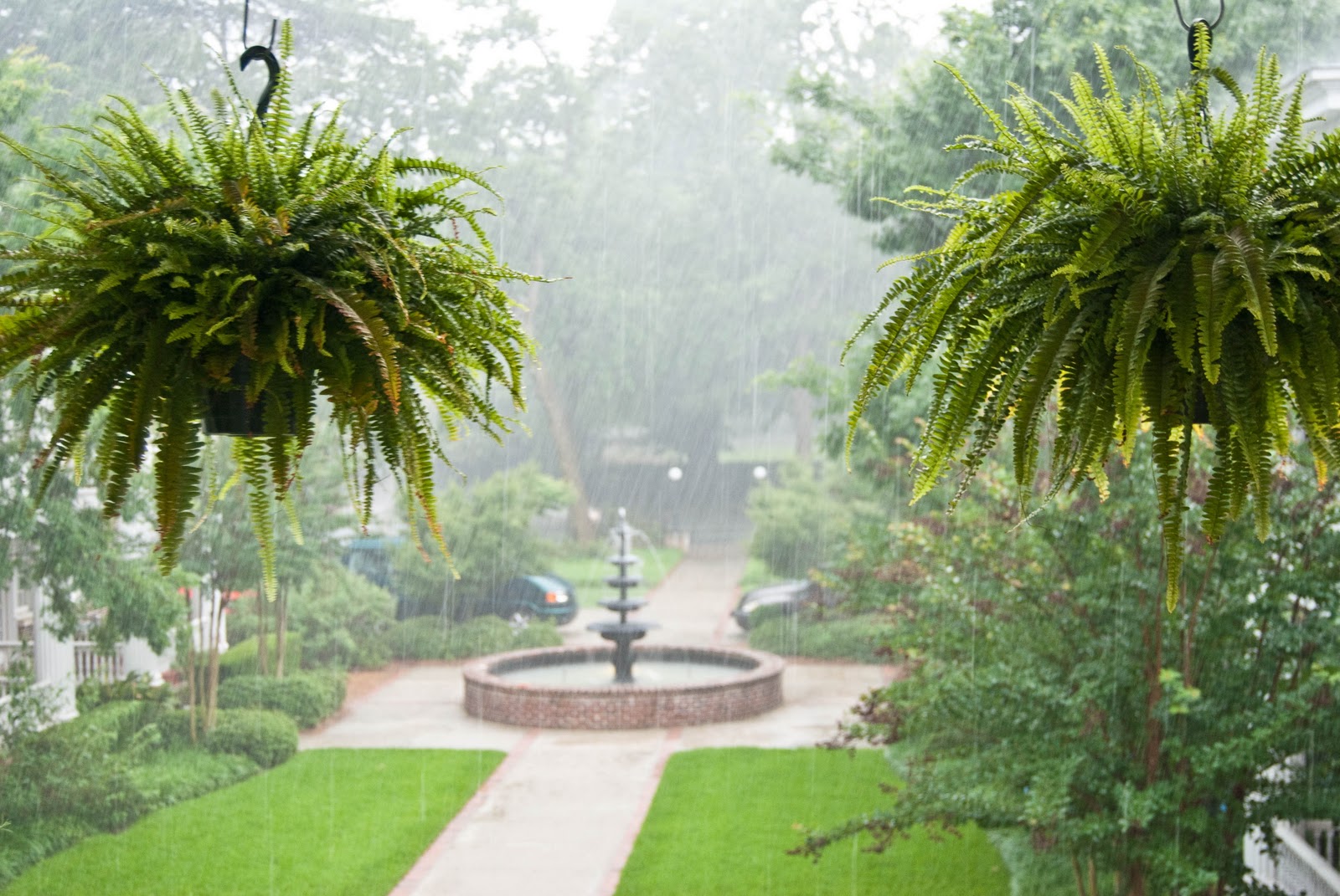 Augusta Daily Photo Spring Rain