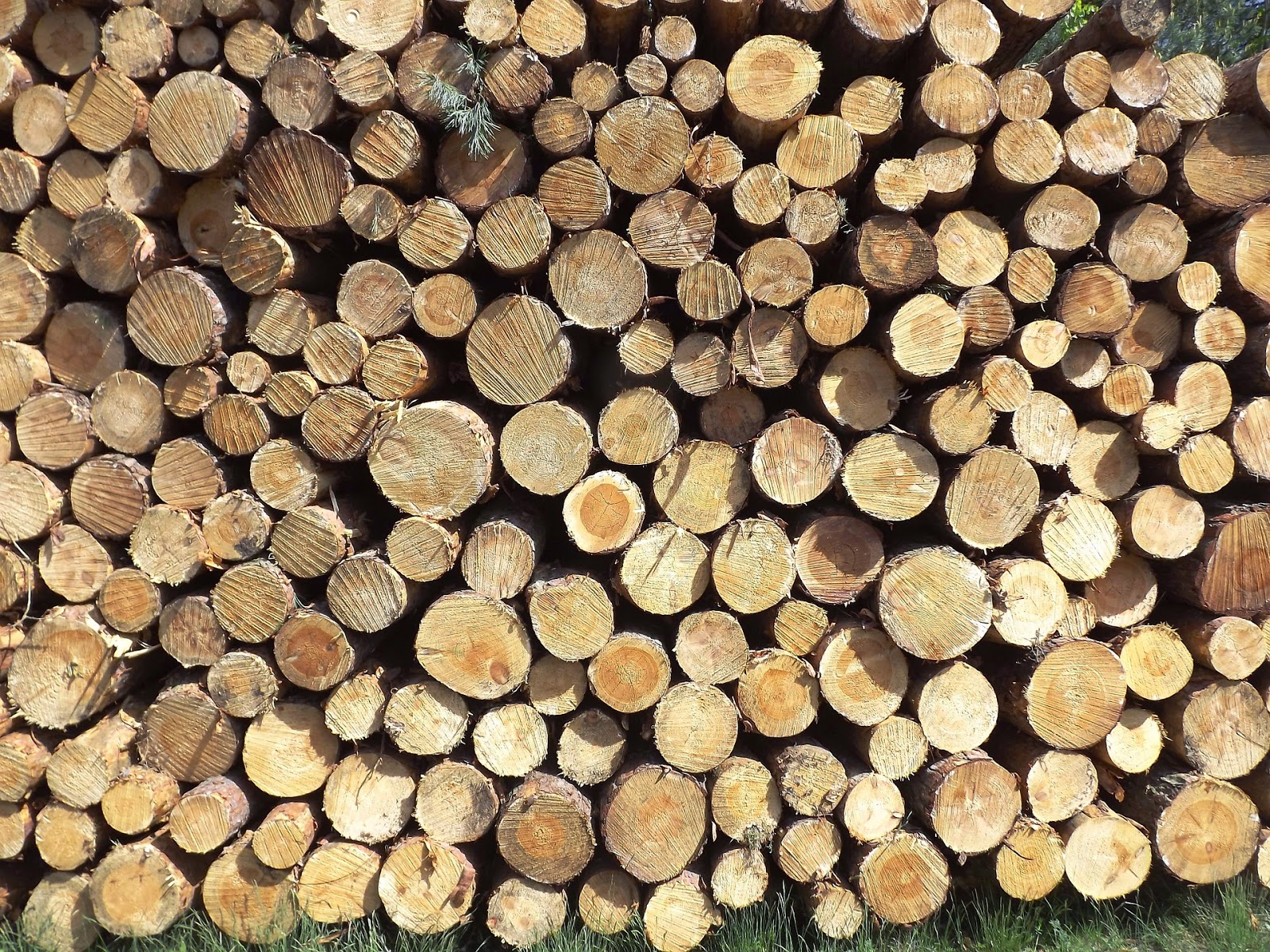 Πώς μπορούμε να ελέγξουμε τα ξύλα που αγοράζουμε για το τζάκι μας ή την σόμπα;