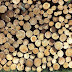 Πώς μπορούμε να ελέγξουμε τα ξύλα που αγοράζουμε για το τζάκι μας ή την σόμπα;