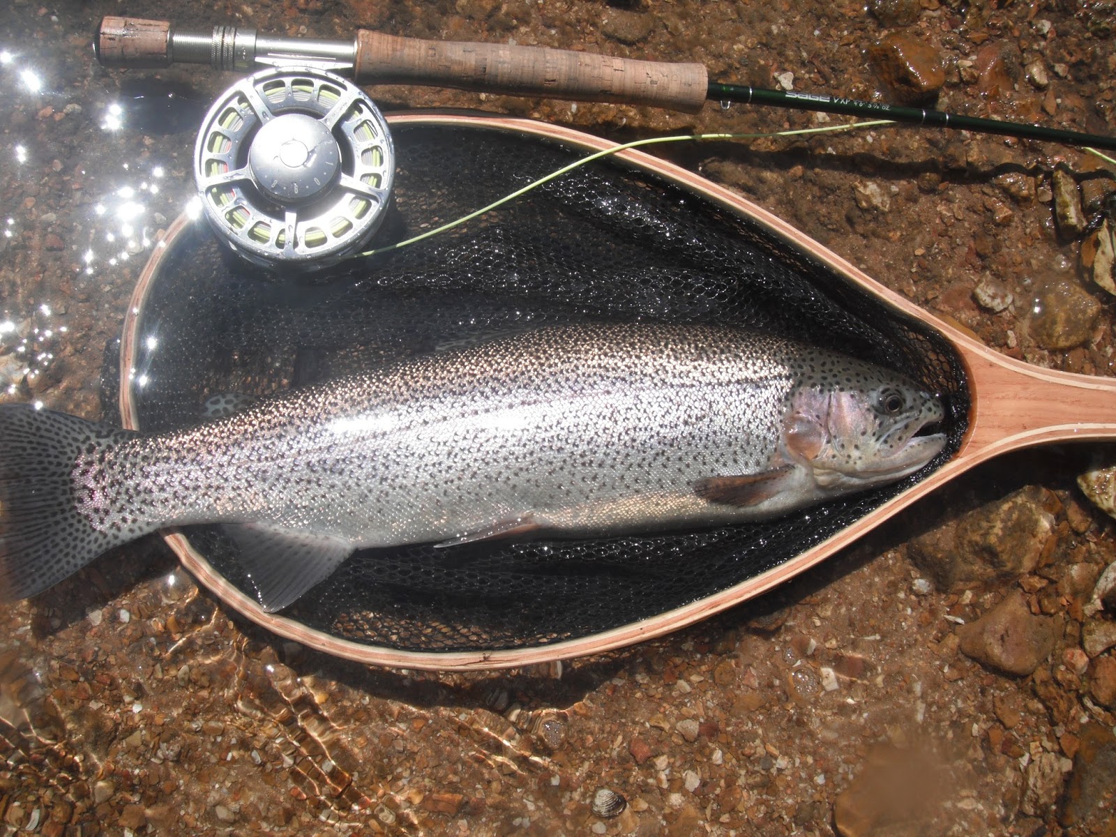 Missouri Trout Hunter