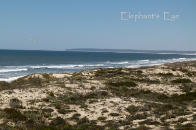 Rocher Pan beach looking to Baboon Point near Eland's Bay