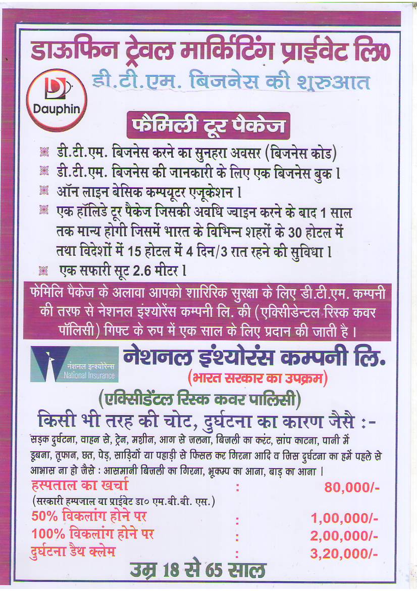 Dauphin touch business plan 07 image