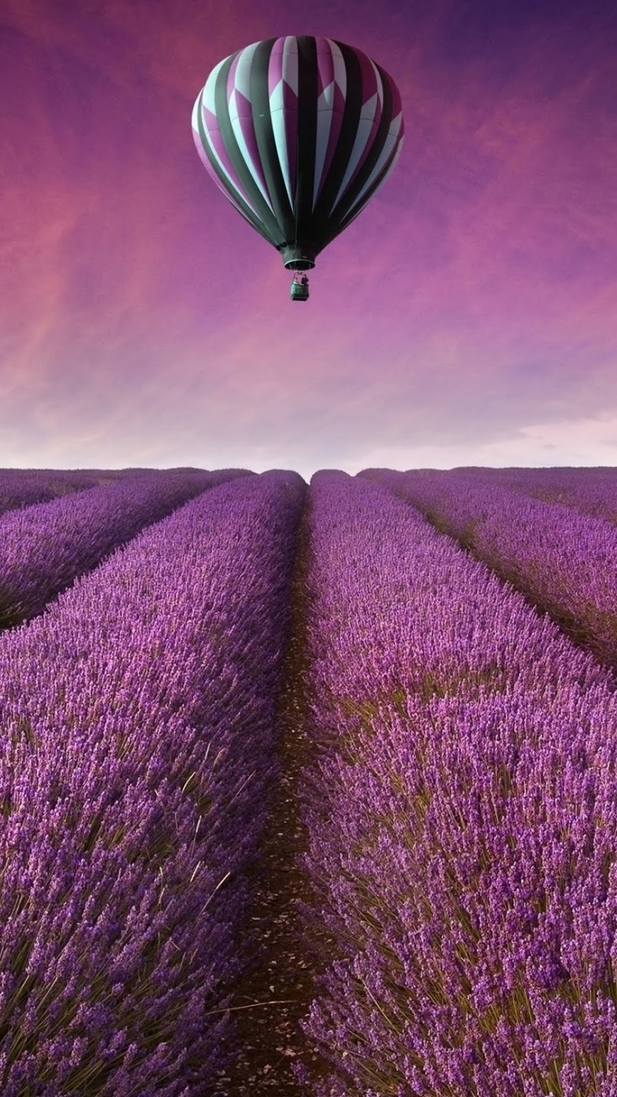 Nature - Purple : id 51328 - HD Wallpapers