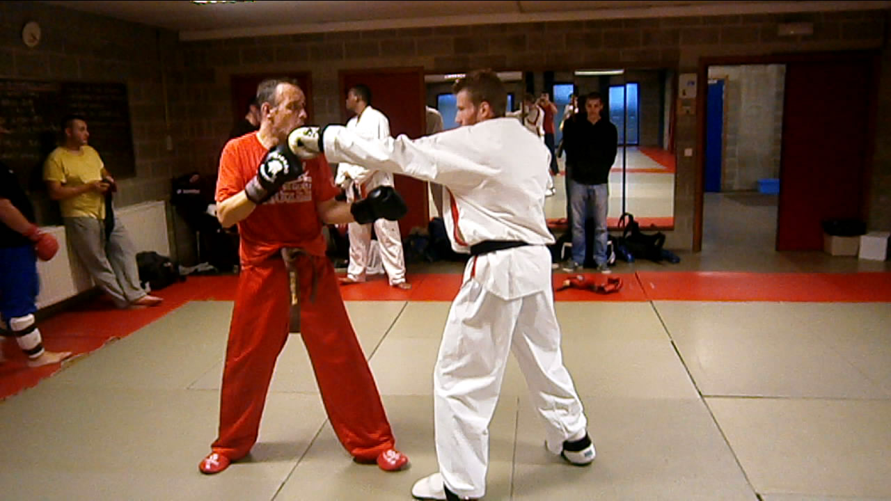 TAEKWONDO PERFORMANCE TECHNIQUES TAEKWONDO I.T.F. LES COUPS DE POINGS (PARTIE 2)