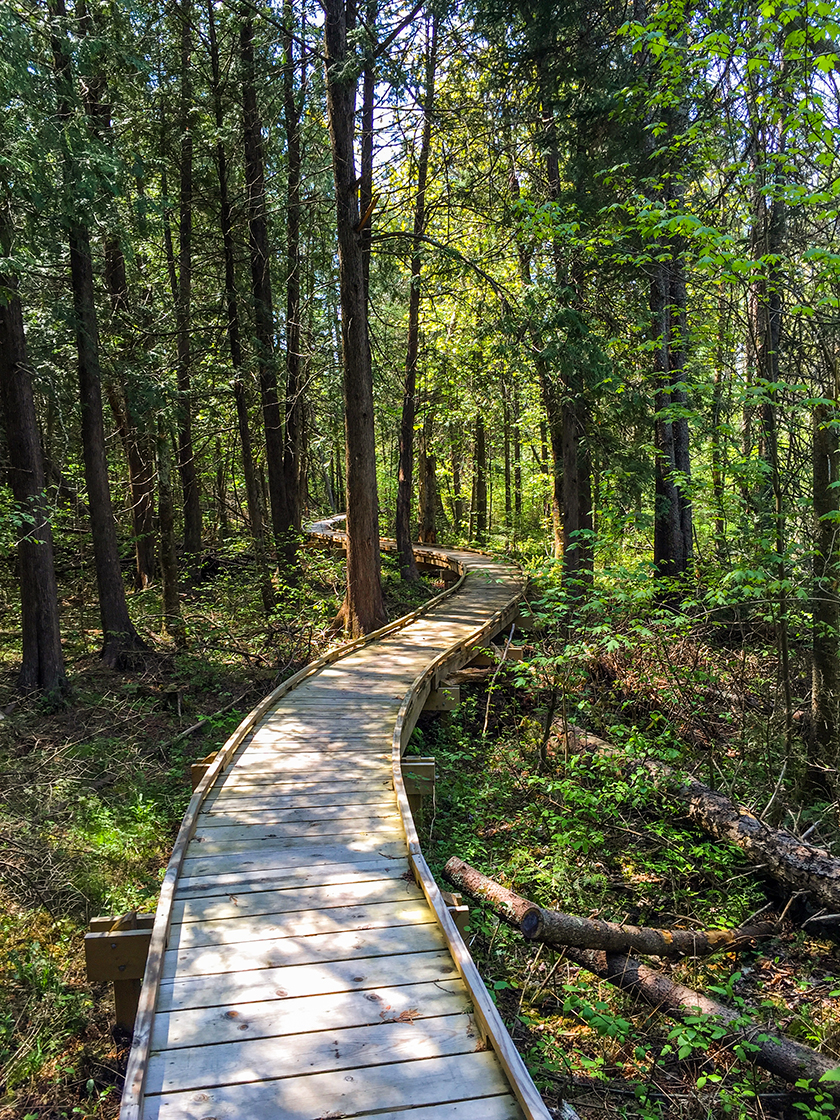 Wisconsin Explorer Hiking the Ice Age Trail Plover River Segment
