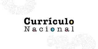 curso virtual perueduca curriculo Nacional de la Educacion Basica v-offline
