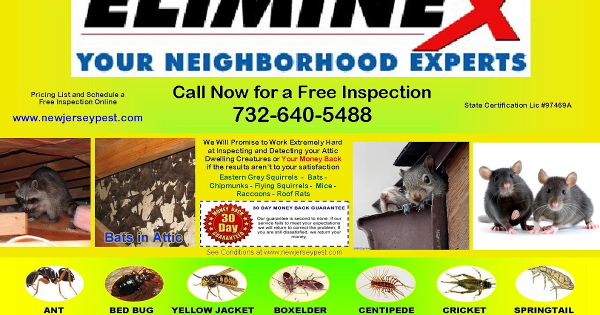 Angie's List Pest Control Atlanta / Expert top 3 pest
