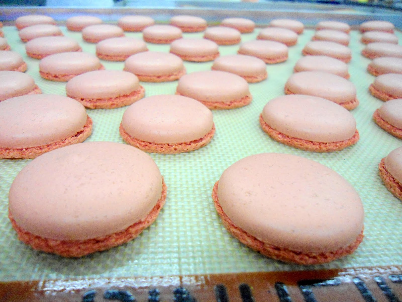 Rodrigo Torres Macarons!!!