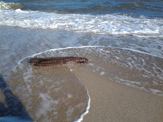 I had a bit of a driftwood collection. Collected by me, in my own surf near my house.