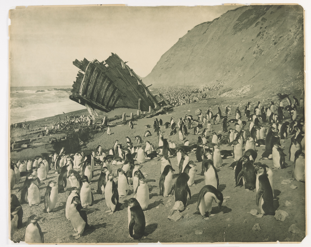 40 Amazing Photographs From the First Australasian Antarctic Expedition
