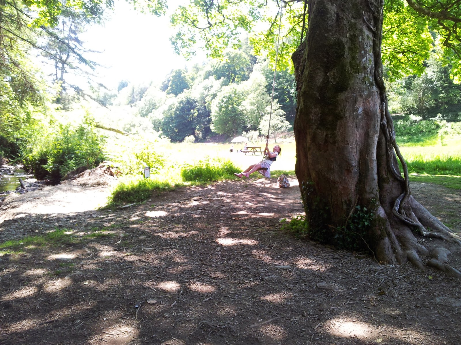 , A Beautiful Day Out at Colby Woodland Gardens National Trust Wales