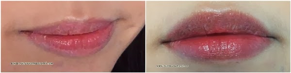 Lips of The Day