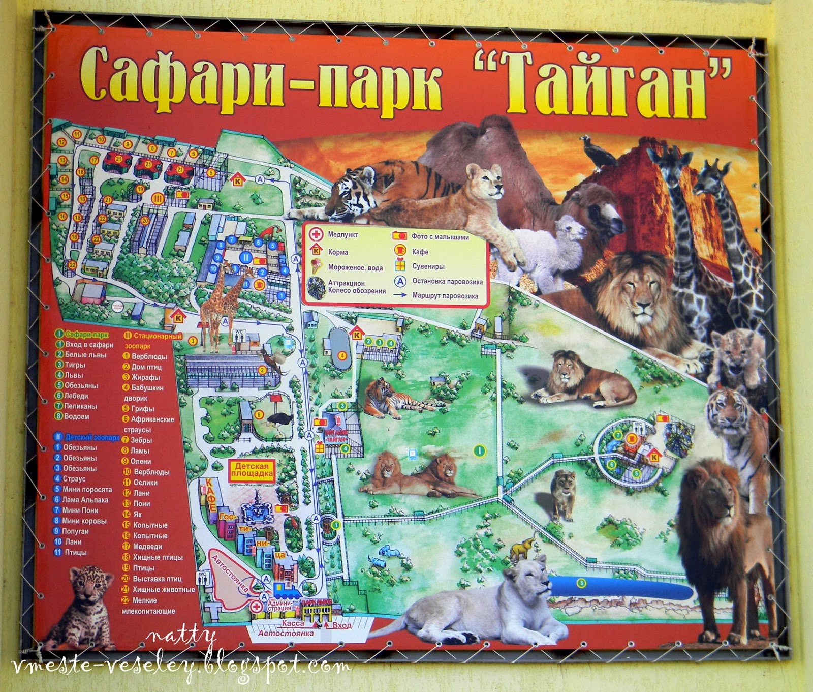 Карта сафари парка